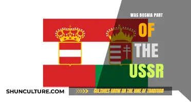 Was Bosnia Ever Part of the USSR? Historical Facts Explained
