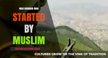 Was the Bosnian War Sparked by Muslim Aggression? Debunking Myths