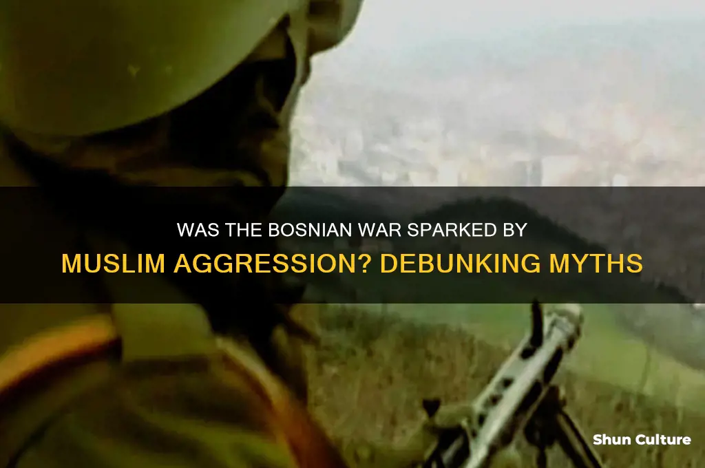 was bosnian war started by muslim