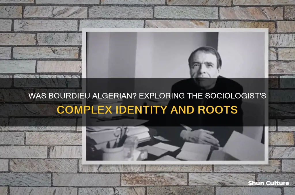 was bourdieu algerian