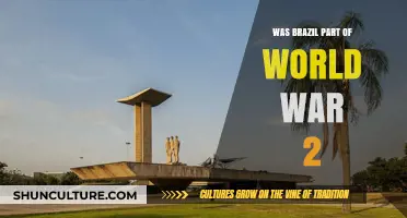 Brazil's Role in World War II: A Surprising Historical Perspective