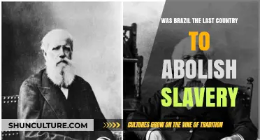Brazil's Slavery Abolition: The Last Country to End the Practice?