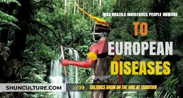 Brazil's Indigenous Immunity: Myth or Reality Against European Diseases?