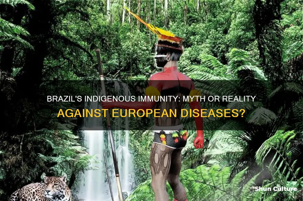 was brazils indigenous people immune to european diseases