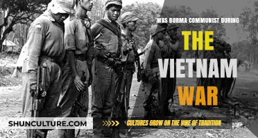 Unveiling Burma's Political Stance During the Vietnam War Era