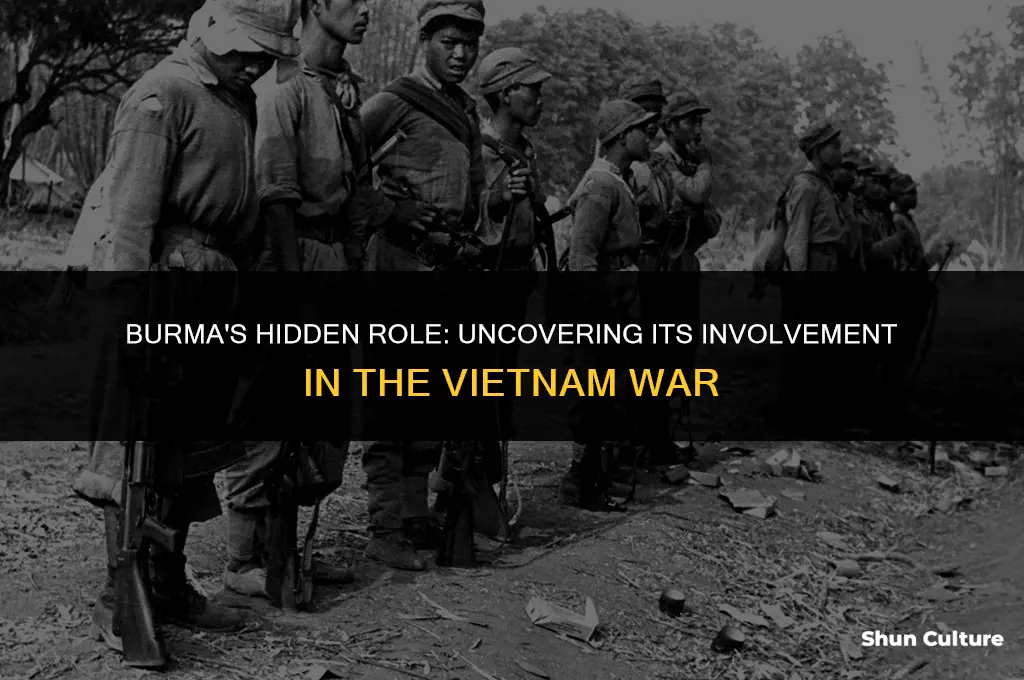 was burma involved in the vietnam war