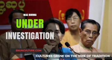 Unveiling the Truth: Burma Under Scrutiny