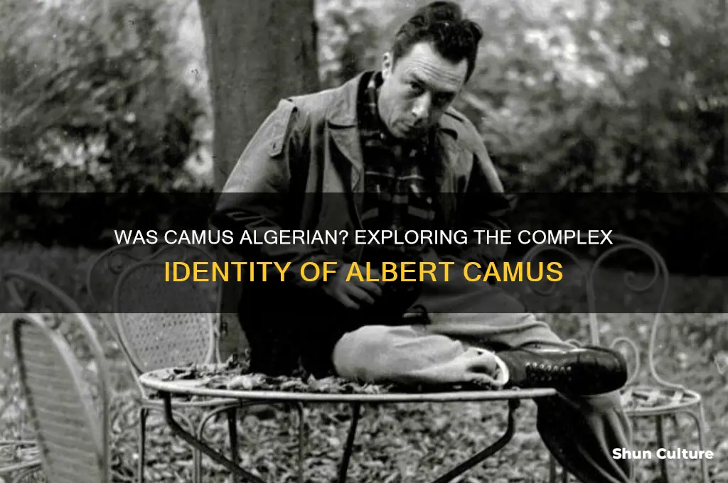 was camus algerian