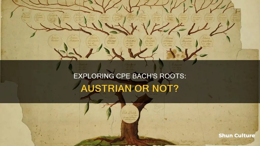 was cpe bach austrian