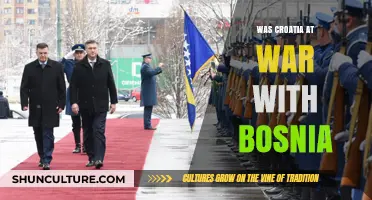 Croatia and Bosnia: Unraveling the Complexities of Their War History