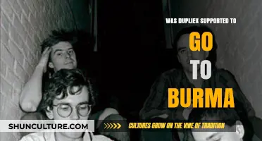 Unveiling the Truth: Was Dupliex Destined for Burma?