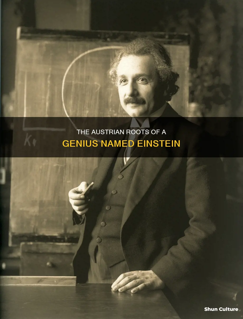 was einstein austrian