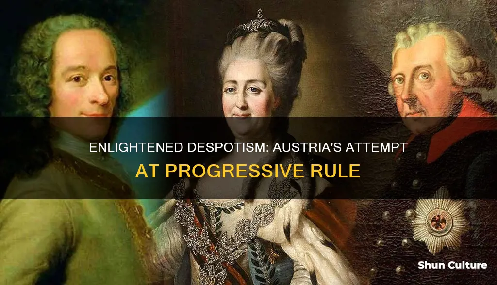 was enlightened despotism attempted in austria