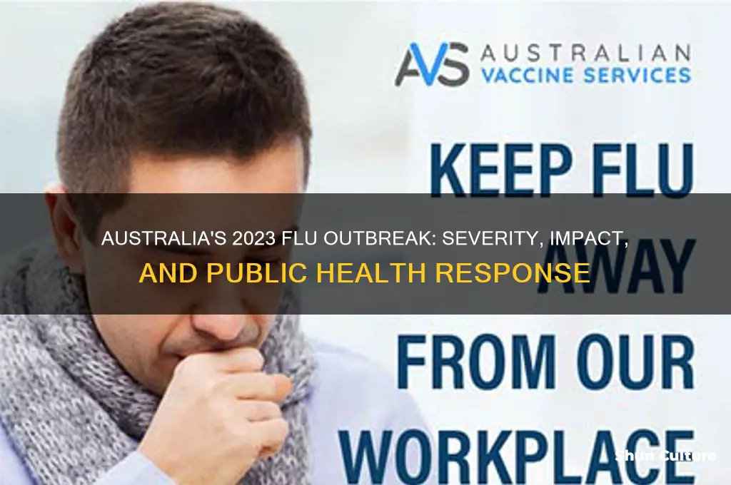 was flu outbreak severein australia this year