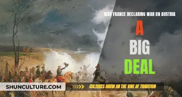 France's Fateful Declaration: War's Impact on Europe