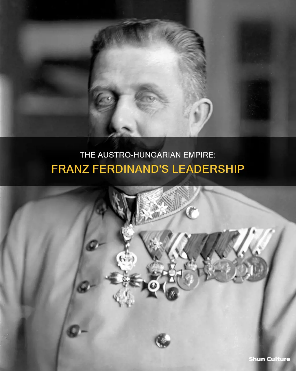 was franz ferdinand the leader of austria hungary