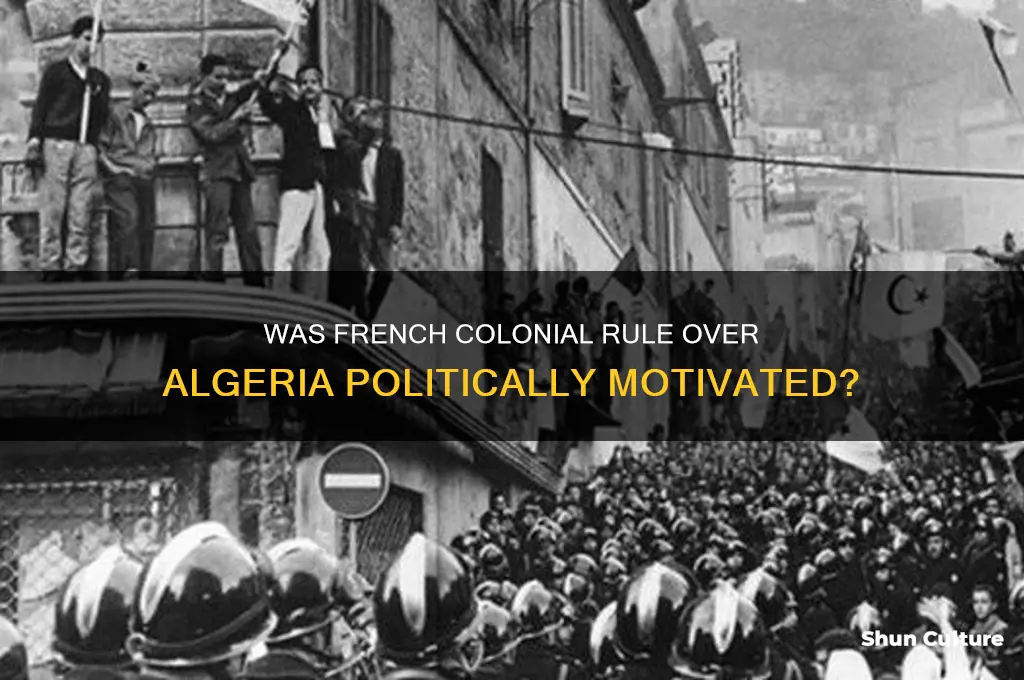 was french colonial rule over algeria political