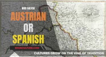 Galicia's Historical Roots: Austrian or Spanish?