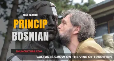 Was Gavrilo Princip Bosnian? Unraveling the Assassin's Identity and Heritage