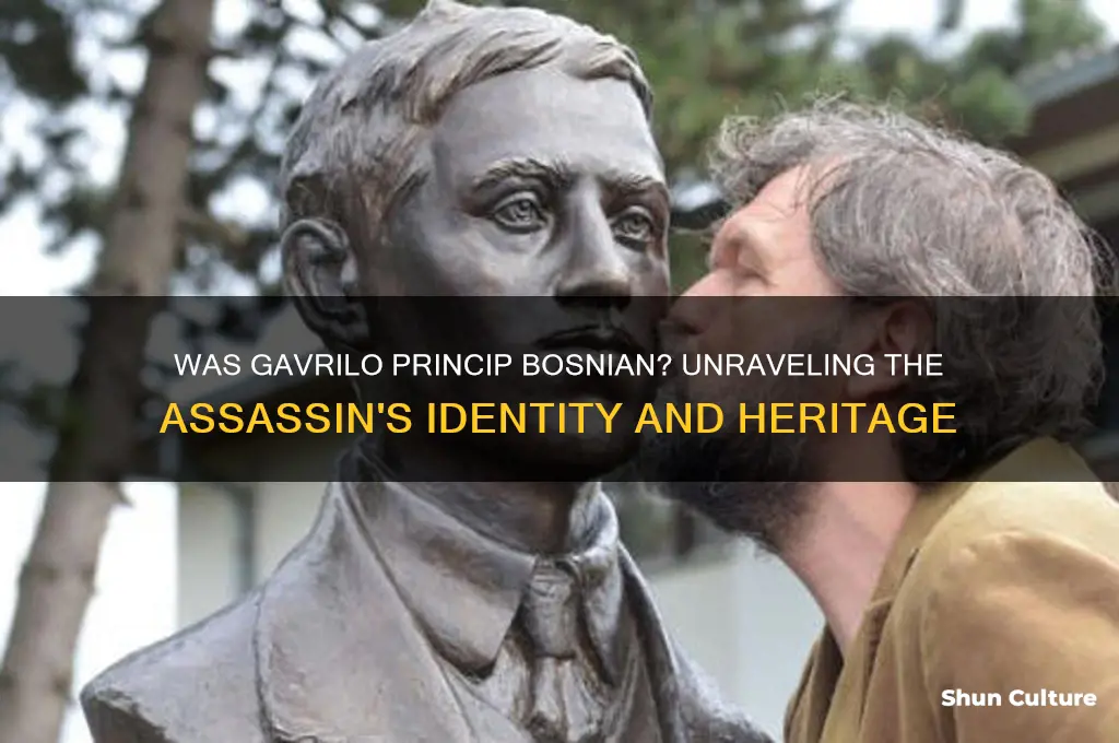was gavrilo princip bosnian