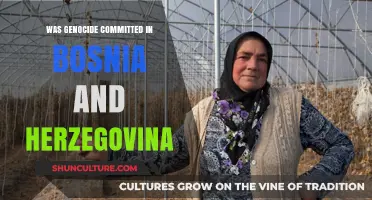 Bosnia and Herzegovina's Dark History: Examining the Genocide Claims