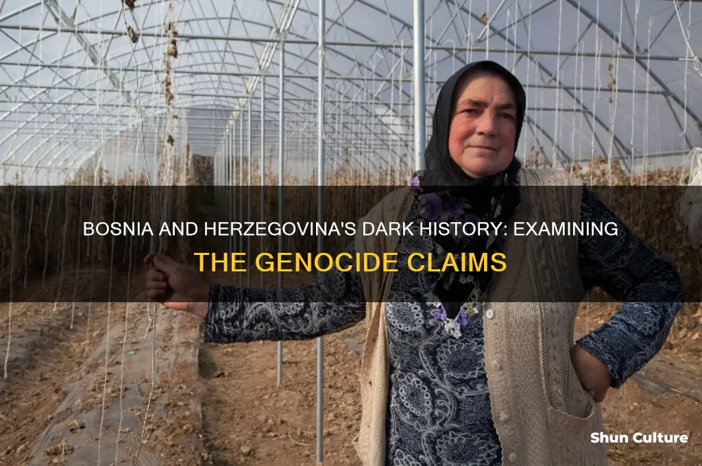 was genocide committed in bosnia and herzegovina