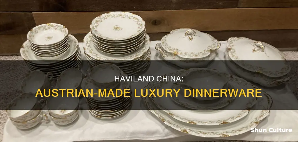 was haviland china made in habsburg austria