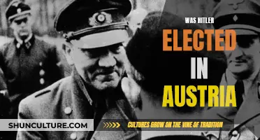 Hitler's Rise: Elected in Austria?