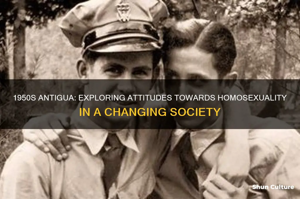 was homosexuality ever thought of in the 1950