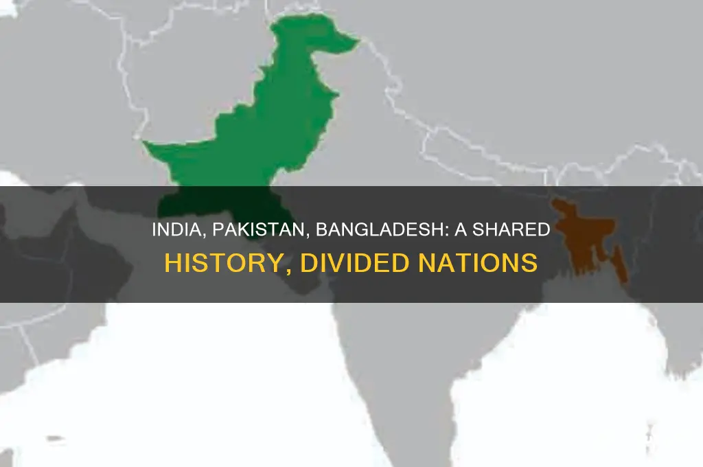 was india pakistan and bangladesh one country