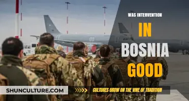 Bosnia Intervention: A Justified Move or Misguided Foreign Policy?