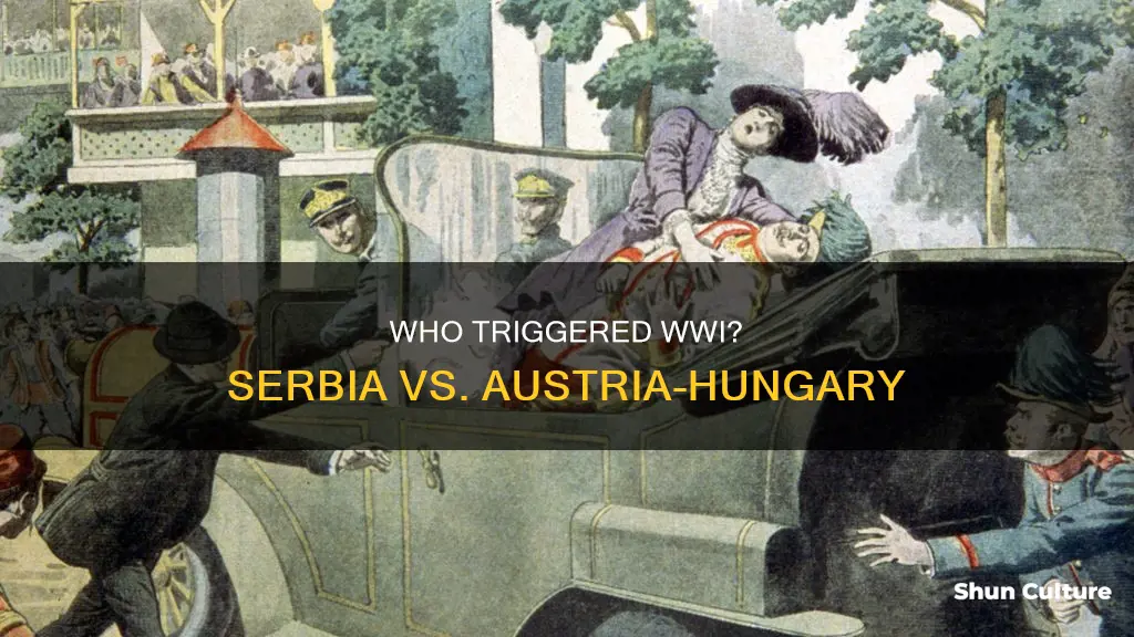 was is serbia or austria hungary who started ww1