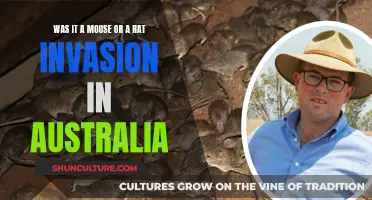 Australia's Rodent Crisis: Mouse or Rat Invasion?