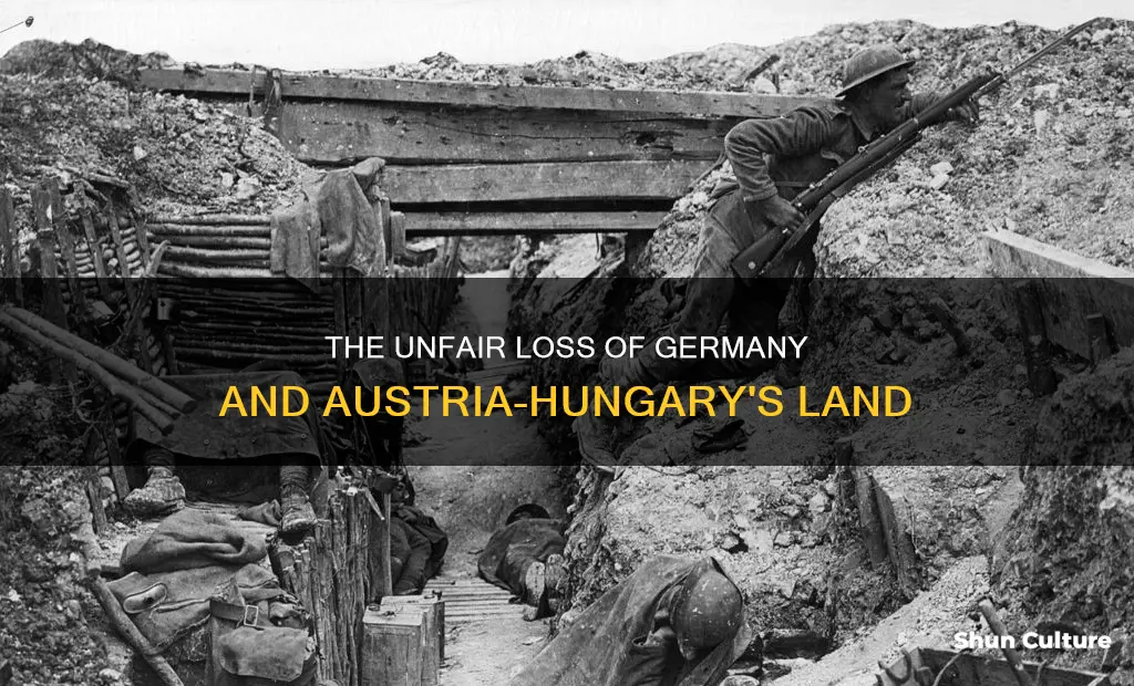 was it fair that germany and austria hungary lost land