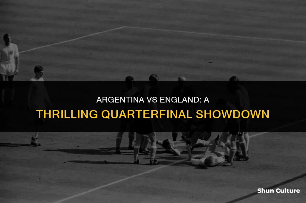 was it the quarter finals when argentina vs england