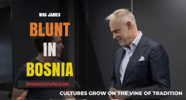 James Blunt's Bosnia Deployment: Uncovering His Military Service Story