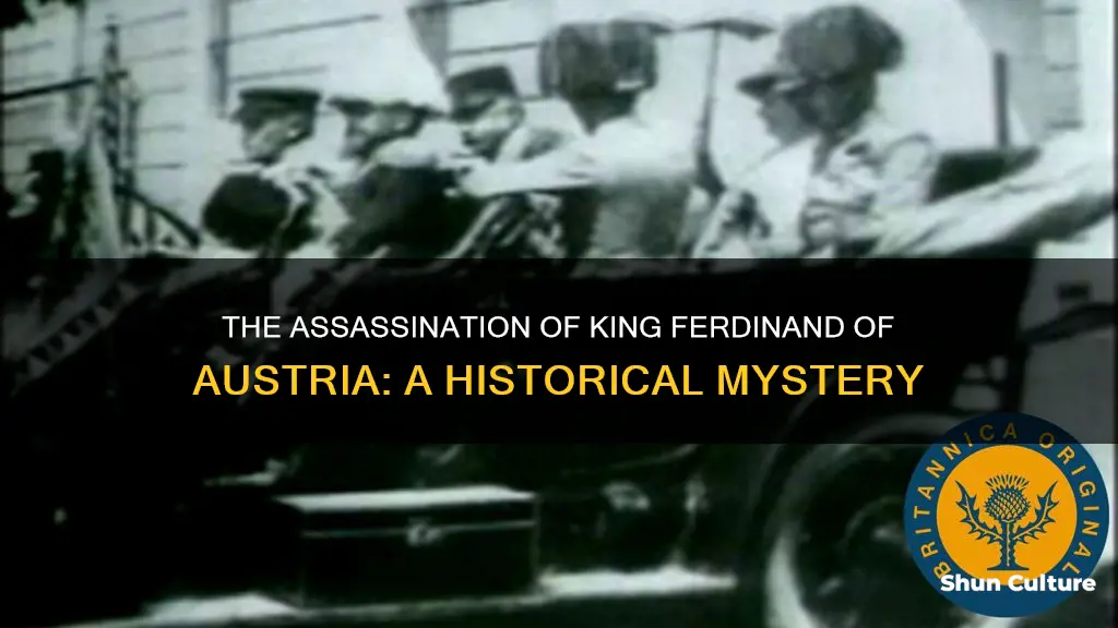 was king ferdinand of austria killed