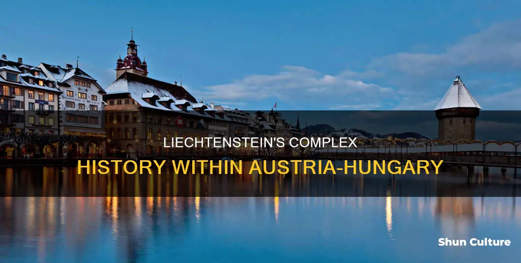 was liechtenstein a part of austria hungary