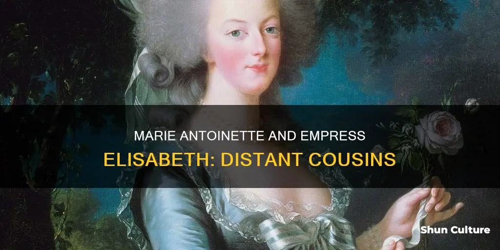 was marie antoinette related to empress elisabeth of austria