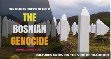 Milosevic's Role in Bosnian Genocide: The Hague Tribunal's Trial