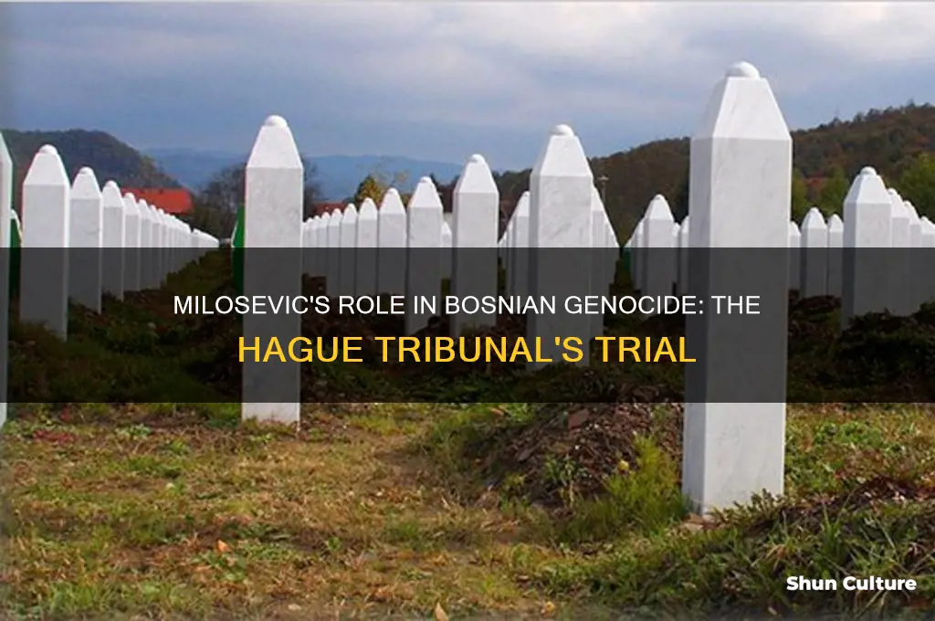 was milosevic tried for his part in the bosnian genocide