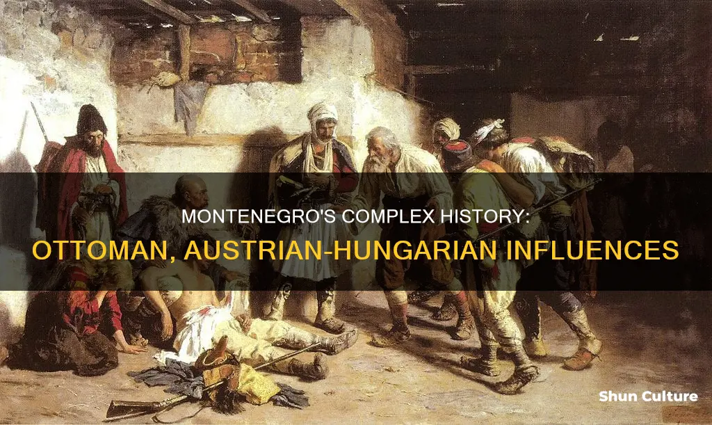 was montenegro austrian-hungarian or ottoman