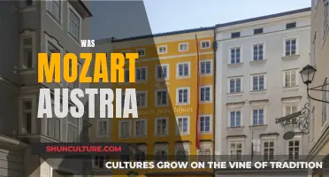 Mozart's Austrian Identity: Exploring Cultural Legacy