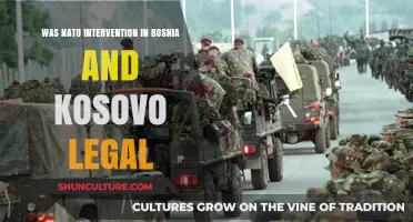 NATO's Bosnia and Kosovo Interventions: Legal Justification or Overreach?