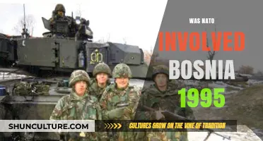 NATO's Role in Bosnia 1995: Intervention and Impact Explained