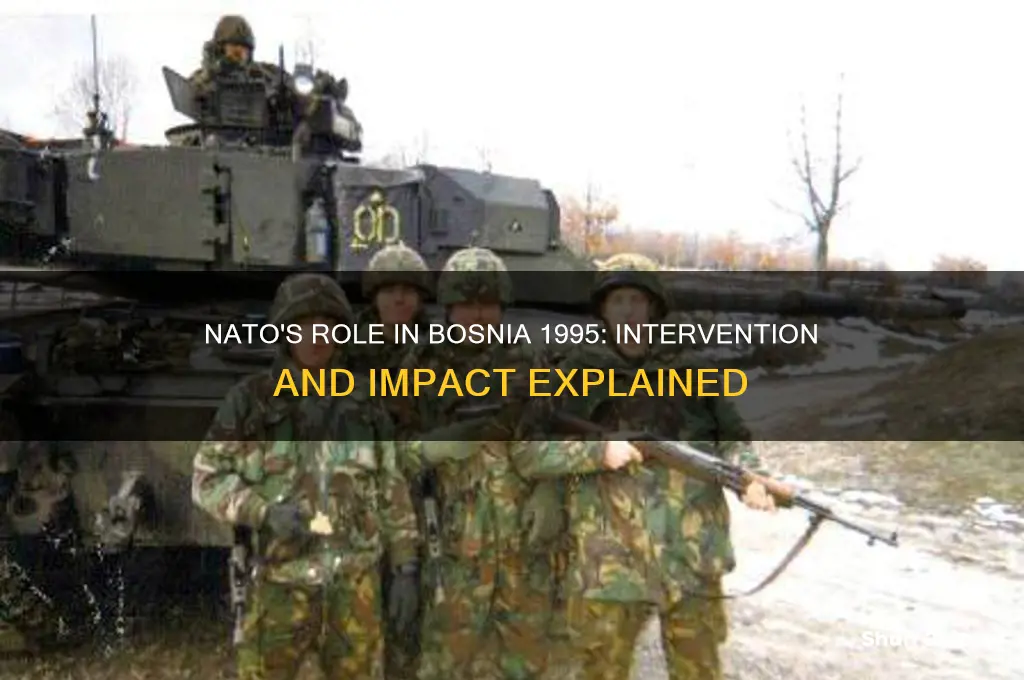 was nato involved bosnia 1995