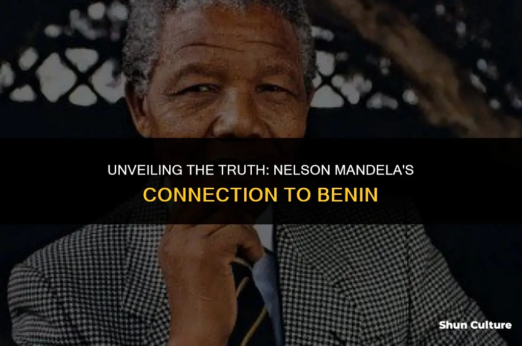 was nelson mandela form.benin