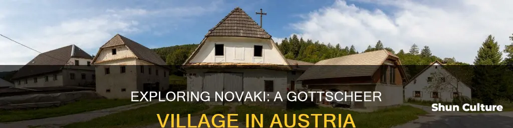 was novaki austria a gottscheer village