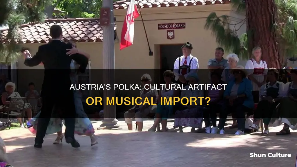 was polka seen as artifact of austria