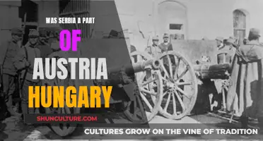 Serbia's Place in Austria-Hungary: A Complex History